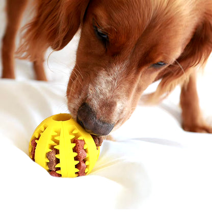 BarkBite Fun Ball