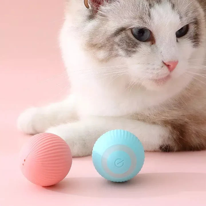 Smart Cat Toy Balls